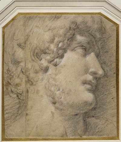 Cabeça do Imperador Gallienus (ou ?Hadrian), depois da antiguidade (giz preto sobre papel creme) de Annibale Carracci