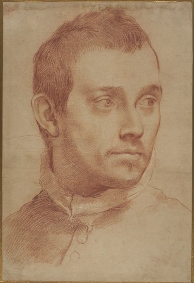 Retrato de um Jovem de Annibale Carracci