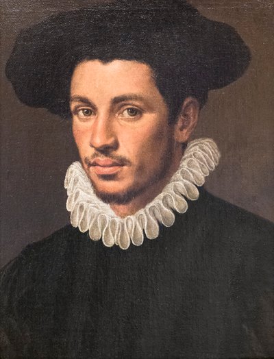 Retrato de um jovem de Annibale Carracci