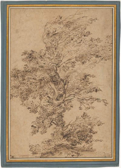 Studie eines Baumes de Annibale Carracci