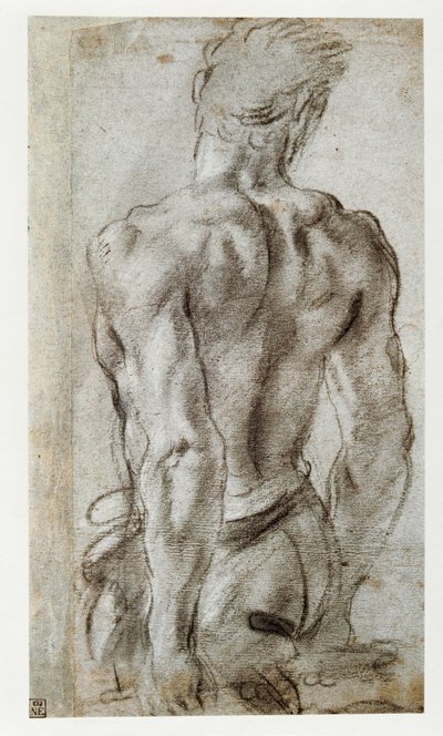 Estudo de uma figura masculina ... de Annibale Carracci