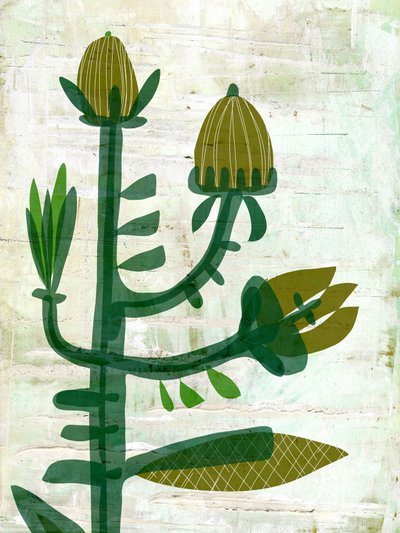 Botânica Verde Moderna de Annick