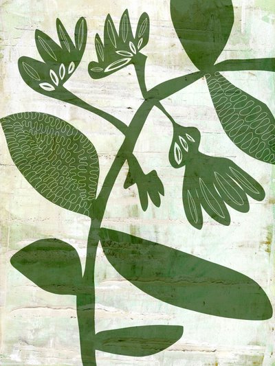 Produtos Botânicos Verdes Biológicos de Annick