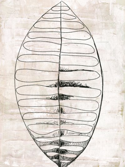 Desenhos de folhas orgânicas de Annick