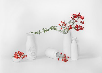 Expositor minimalista de frutos vermelhos de Annie Poreider