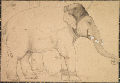 Desenho de um elefante de Anonym