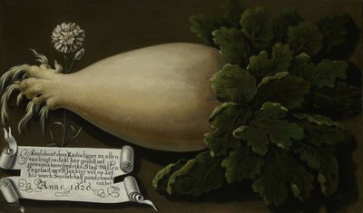 Um rabanete gigante de Anonymous