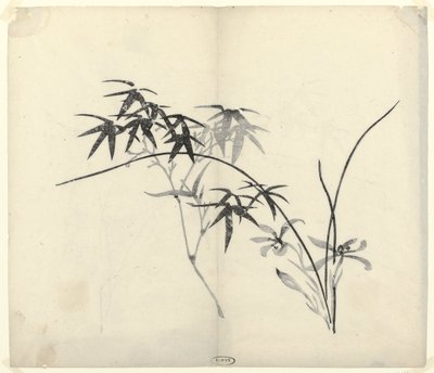 Bambu e orquídeas de Anonymous