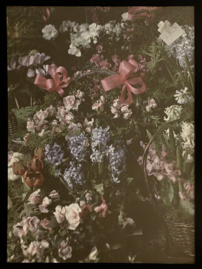 Cachos de flores com arco, cesto e cartão de Anonymous