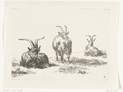 Três cabras
Cabras e ovelhas para N.P. Berchem (título da série) de Anonymous