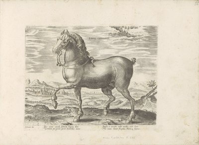 Parque de duits Cavalo alemão (título no objeto) Paardenrassen uit de Koninklijke stallen van Don Juan van Oostenrijk (título da série) O cavalo, no qual todos os tipos de nobres: o comportamento de cavalos distintos de várias partes do mundo selecionado ( de Anonymous