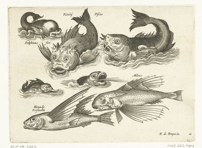 Fantásticos animais aquáticos, incluindo golfinhos e peixe-boi
Libelivs varia Genera piscium complectens (título da série)
Peixes de água doce, peixes de mar, sapos, crustáceos e criaturas do mar (título da série) de Anonymous
