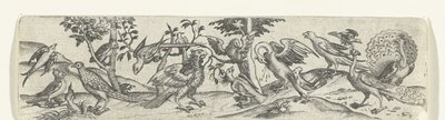 Frieze com aves, incluindo pavão e pelicano de Anonymous