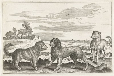 cães Animais de quatro patas (título da série) Animalivm Qvaddrvpedvm (título da série) de Anonymous