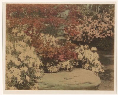 Jardim japonês com flores de Anonymous