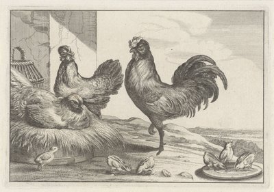 Galos, galos e pintos
Diversae avium species (título da série)
Várias aves (título da série) de Anonymous