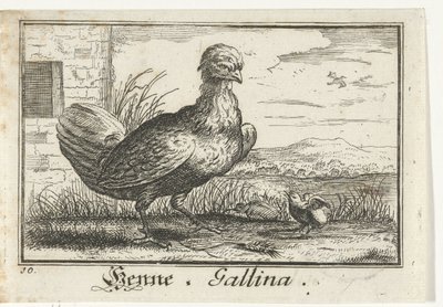 frango com pintinho Hena, Galina. (título no objeto) de Anonymous