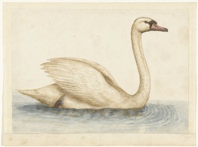 cisne mudo Álbum Lombard (título da série) de Anonymous