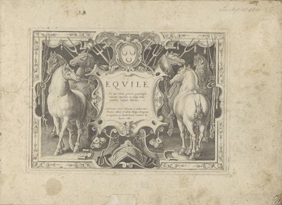 Cartela ornamenteel com título geflankeerd door padarden O cavalo, no qual todos os tipos de nobres: o comportamento de cavalos distintos de várias partes do mundo selecionado (...) (título da série no objeto) de Anonymous