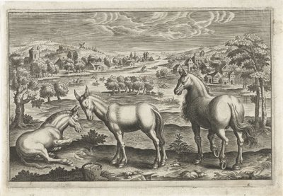 Cavalo e burros Animais de quatro patas (título da série) Animalivm Qvaddrvpedvm (título da série) de Anonymous