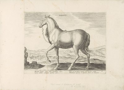 Cavalo da Albânia
Albanus (título sobre o objecto)
Raças de cavalos dos estábulos reais de Don Juan da Áustria (título da série)
Equile, in quo omnis generis generosissi: morum equorum ex varijs orbis partibus insignis delectus (...) (título da série em de Anonymous