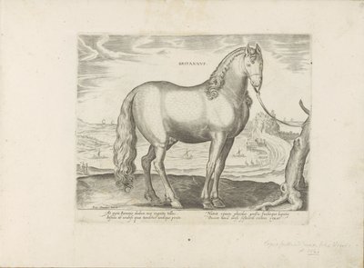 Paard uit Bretagne (Grã-Bretanha) Britânico (título no objeto) Paardenrassen uit de Koninklijke stallen van Don Juan van Oostenrijk (título da série) Um cavalo, no qual todos os tipos de nobres: escolhidos de diferentes partes do mundo distinguidos pelo co de Anonymous