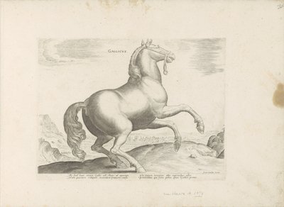 Paard uit Frankrijk Francês (título no objeto) Paardenrassen uit de Koninklijke stallen van Don Juan van Oostenrijk (título da série) O cavalo, no qual todos os tipos de nobres: o comportamento de cavalos distintos de várias partes do mundo selecionado (.. de Anonymous