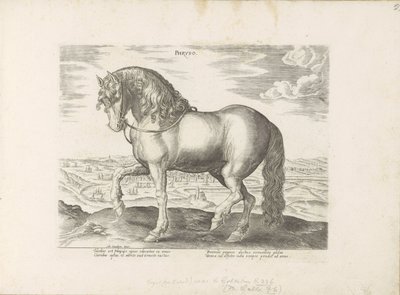 Cavalo de Friesland
Phryso (título sobre o objecto)
Raças de cavalos dos estábulos reais de Don Juan da Áustria (título da série)
Equile, in quo omnis generis generosissi: morum equorum ex varijs orbis partibus insignis delectus (...) (título da série s de Anonymous