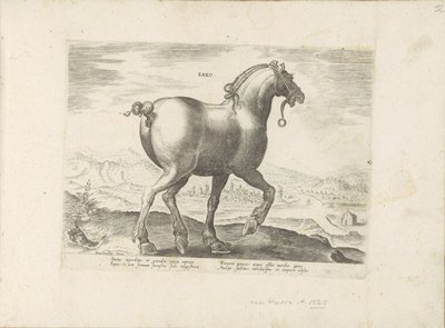 Cavalo da Saxónia
Saxo (título sobre o objecto)
Raças de cavalos dos estábulos reais de Don Juan da Áustria (título da série)
Equile, in quo omnis generis generosissi: morum equorum ex varijs orbis partibus insignis delectus (...) (título da série sobre de Anonymous