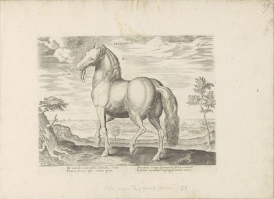 Cavalo da Sardenha
Sardonicus (título sobre o objecto)
Raças de cavalos dos estábulos reais de Don Juan da Áustria (título da série)
Equile, in quo omnis generis generosissi: morum equorum ex varijs orbis partibus insignis delectus (...) (título da séri de Anonymous