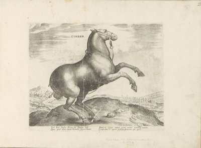 Cavalo de Scythia
Cimber (título sobre o objecto)
Raças de cavalos dos estábulos reais de Don Juan da Áustria (título da série)
Equile, in quo omnis generis generosissi: morum equorum ex varijs orbis partibus insignis delectus (...) (título da série sob de Anonymous