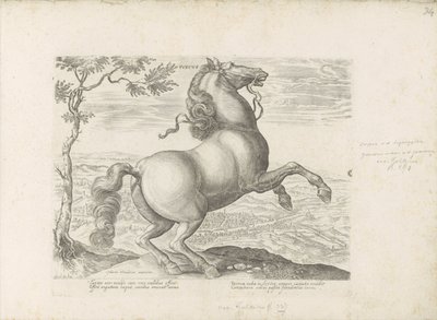 Paard uit Toscane Toscana (título no objeto) O cavalo, no qual todos os tipos de nobres: o comportamento de cavalos distintos de várias partes do mundo selecionado (...) (título da série no objeto) de Anonymous