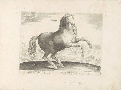 Cavalo do sul de Itália
Appulus (título sobre o objecto)
Raças de cavalos dos estábulos reais de Don Juan da Áustria (título da série)
Equile, in quo omnis generis generosissi: morum equorum ex varijs orbis partibus insignis delectus (...) (título da sé de Anonymous