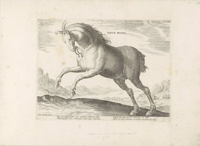 Paard van het ras Royal Horse (de Koninklijke) O Cavalo Real (título no objeto) Paardenrassen uit de Koninklijke stallen van Don Juan van Oostenrijk (título da série) Um cavalo, no qual todos os tipos de nobres: distinguidos pelas maneiras de cavalos de vá de Anonymous