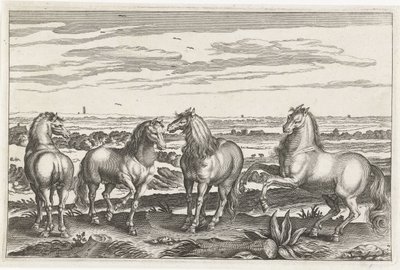 Cavalos
Animais de quatro patas (título da série)
Animalivm Qvaddrvpedvm (título da série) de Anonymous