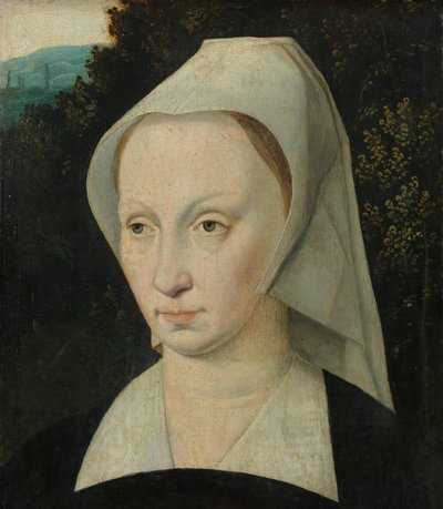 Retrato de uma mulher de Anonymous