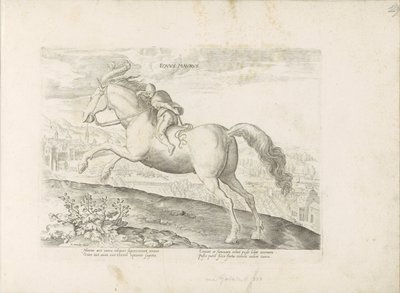 Renpaard conheceu Ruiter Cavalo mouro (título no objeto) Paardenrassen uit de Koninklijke stallen van Don Juan van Oostenrijk (título da série) O cavalo, no qual todos os tipos de nobres: as maneiras dos cavalos distinguidos de várias partes do mundo selec de Anonymous