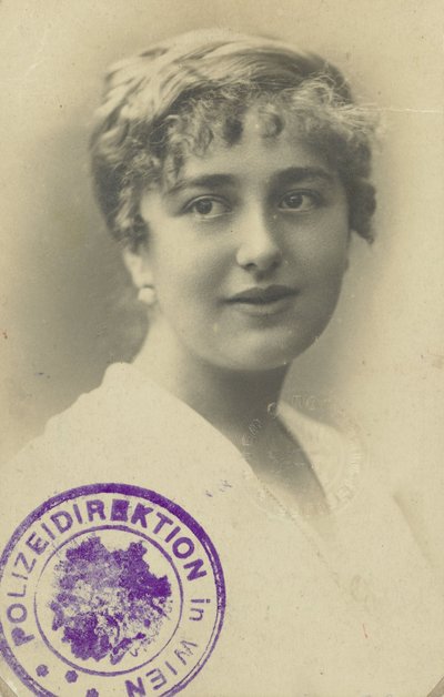 Carta de condução de Elsa Silberstein de Anonymous