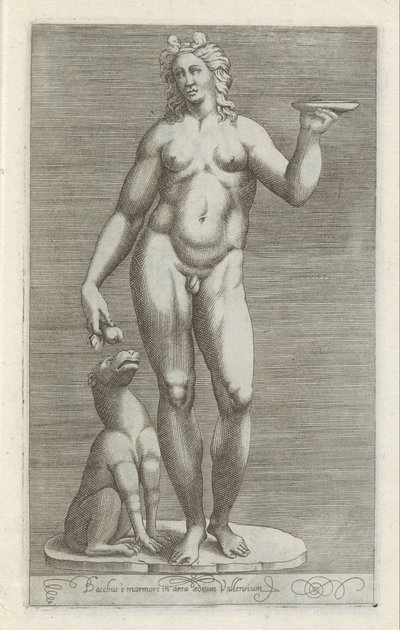 Sculptuur van Bacchus en een hond Baco e mármore na área do palácio de Vallens (título no objeto) Esculturas antigas em Roma (título da série) Ícones das antigas estátuas da cidade de Roma que são vistas em locais públicos (título da série) de Anonymous