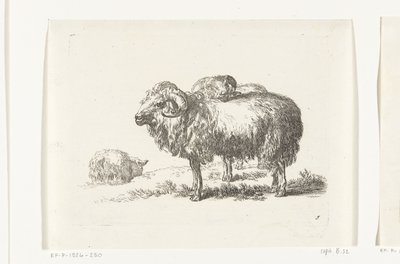 Duas cabras e uma ovelha mentirosa Cabras e ovelhas para N.P. Berchem (título da série) de Anonymous