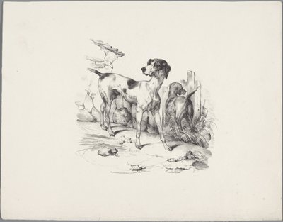 Dois cães por uma cerca
Seis estudos com animais pequenos (título da série)
Seis estudos com animais pequenos (título da série sobre o objecto) de Anonymous