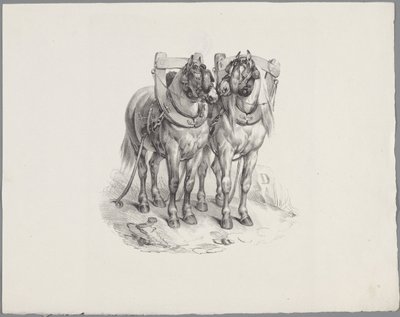 Dois cavalos preparados Seis estudos com pequenos animais (título da série) Seis estudos de pequenas feras (título da série no objeto) de Anonymous