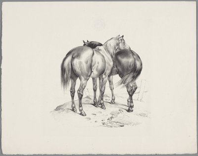 Dois cavalos vistos por trás
Seis estudos com animais pequenos (título da série)
Seis estudos com animais pequenos (título da série sobre o objecto) de Anonymous