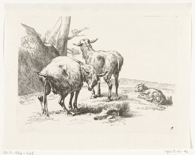Duas cabras em pé e um cabrito Cabras e ovelhas para N.P. Berchem (título da série) de Anonymous