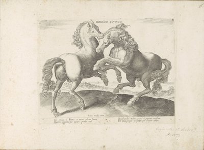Twee vechtende paarden Duelo de Cavalos (título no objeto) O cavalo, no qual todos os tipos de nobres: o comportamento de cavalos distintos de várias partes do mundo selecionado (...) (título da série no objeto) de Anonymous