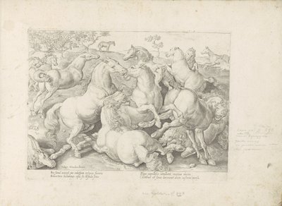 Vechtende paarden O cavalo, no qual todos os tipos de nobres: o comportamento de cavalos distintos de várias partes do mundo selecionado (...) (título da série no objeto) de Anonymous