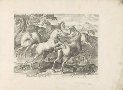 Vechtende paarden com een ​​onder de voet gelopen paard O cavalo, no qual todos os tipos de nobres: o comportamento de cavalos distintos de várias partes do mundo selecionado (...) (título da série no objeto) de Anonymous