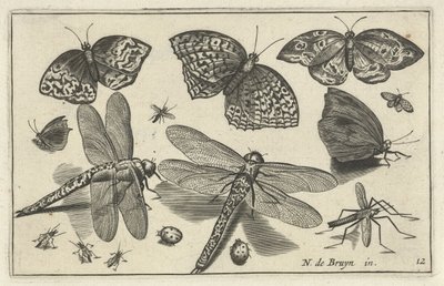 Borboletas e libélulas
Aves e insectos (título da série) de Anonymous