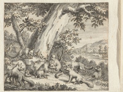 Raposa que teve o rabo cortado Desenhos para ilustrações para uma edição das Fábulas de Jean de la Fontaine (título da série) de Anonymous