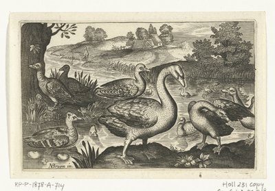 Cisne e gansos e patos Pássaros e insetos (título da série) de Anonymous